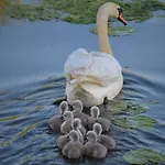 Heidpark Lüneburg