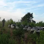 Heidpark Szálloda Lüneburg