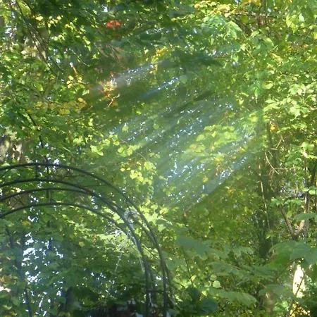 מלון Heidpark Lüneburg