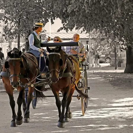 Отель Heidpark Линебург