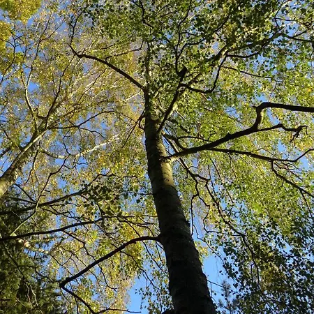 Heidpark Отель 3*