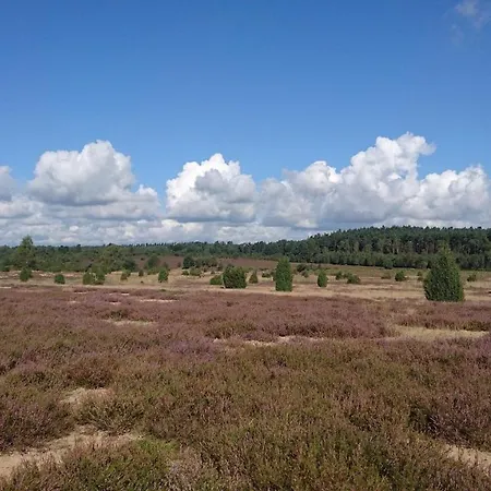 Отель Heidpark Линебург