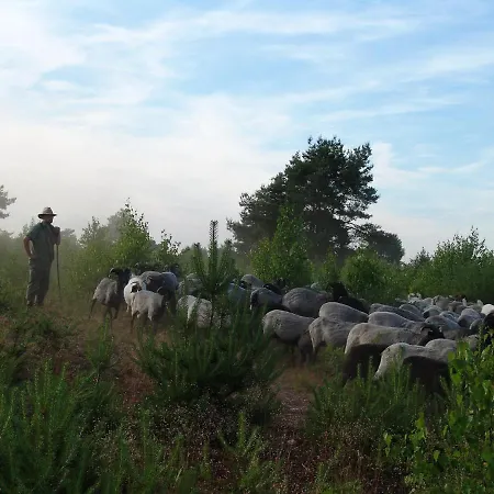 Heidpark Отель Линебург